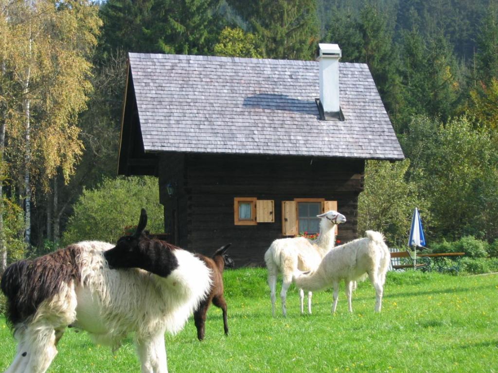 Huette Zum Verlieben Gurk Extérieur photo