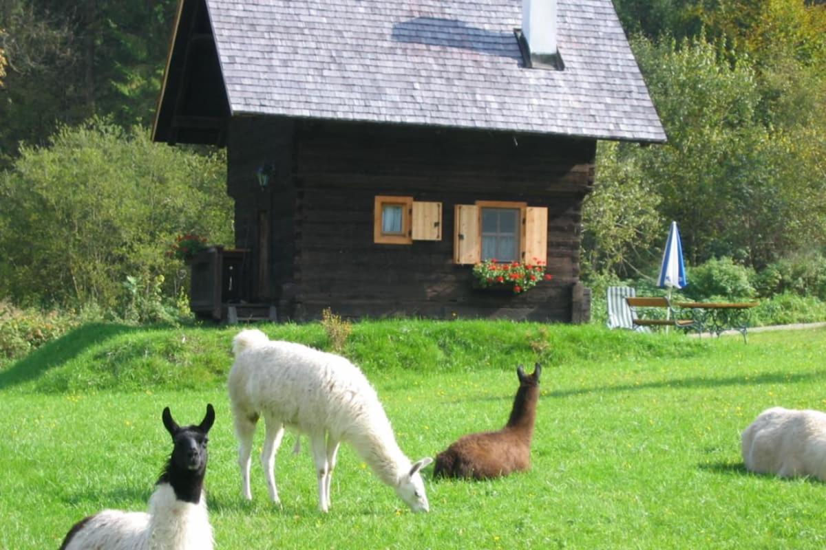 Huette Zum Verlieben Gurk Extérieur photo